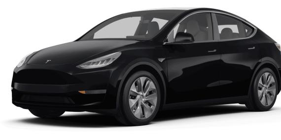 TESLA MODEL Y 2023 7SAYGDEE4PF674533 image